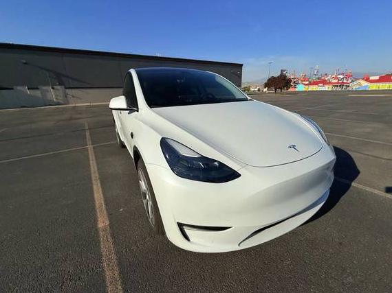 TESLA MODEL Y 2023 7SAYGAEE1PF711214 image